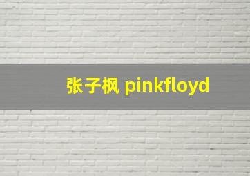 张子枫 pinkfloyd